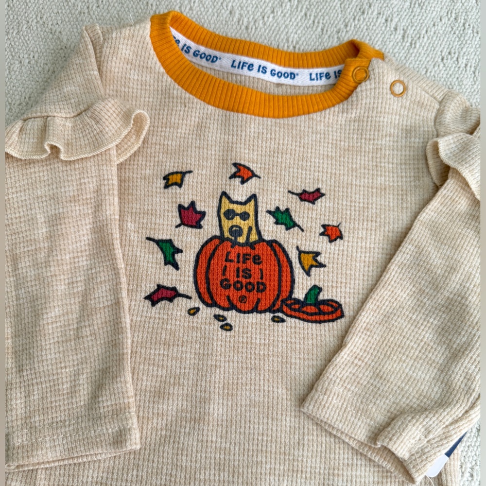 Fall Bundle - Picture 5 of 9